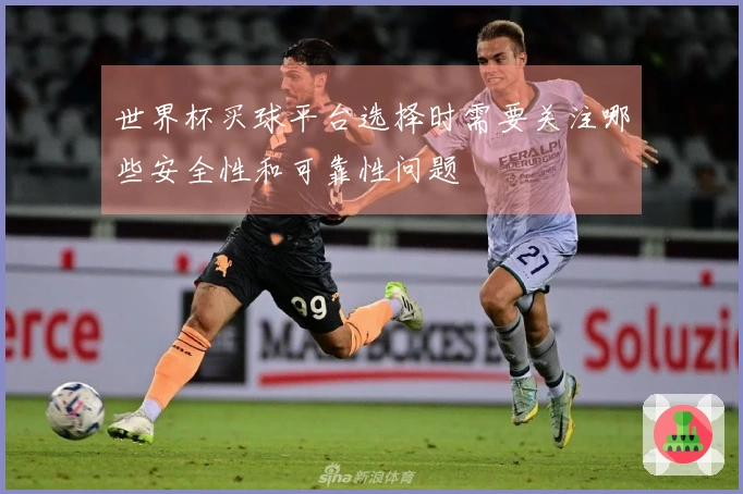 世界杯买球平台选择时需要关注哪些安全性和可靠性问题